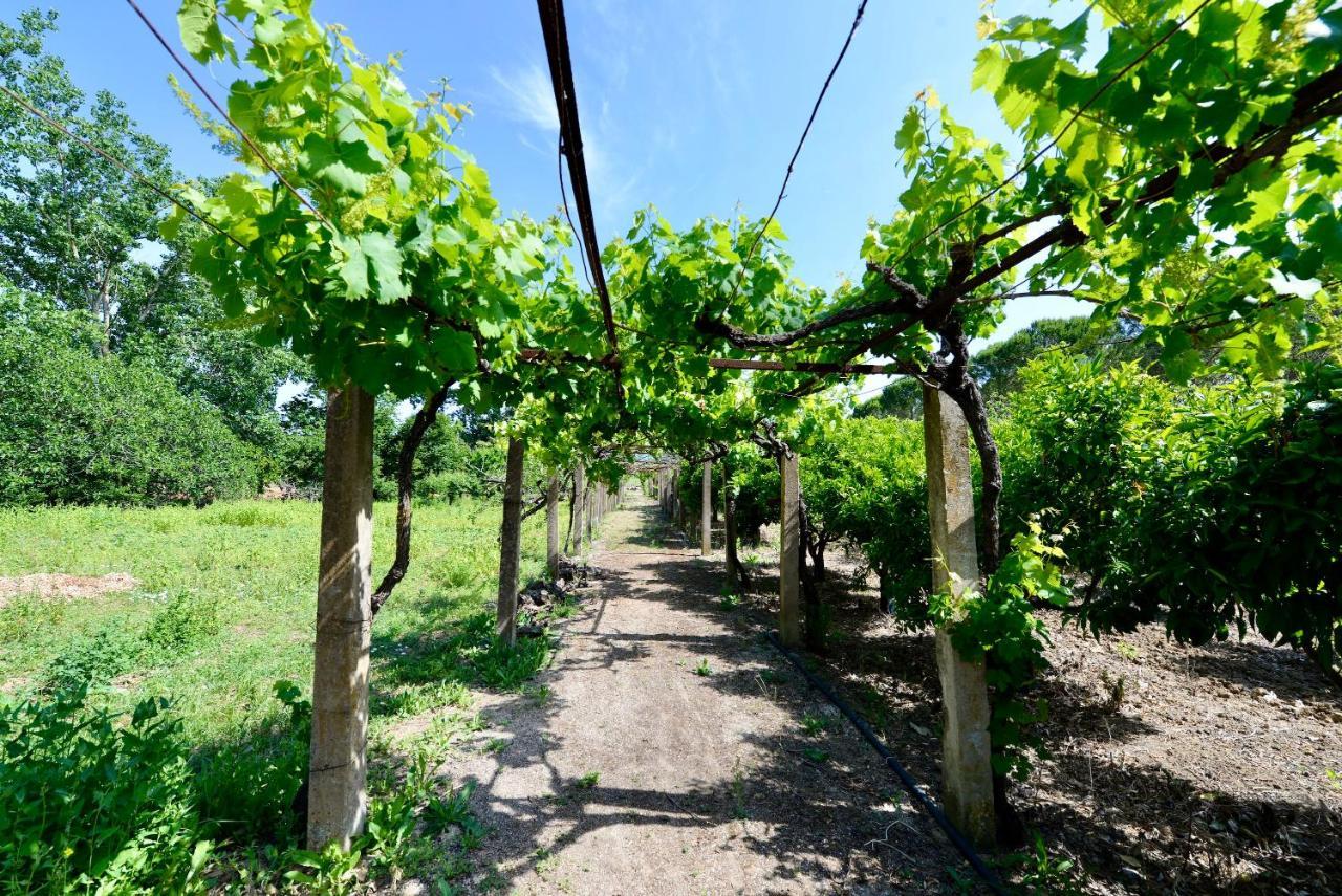 Quinta Da Barreira Villa A-da-Rainha Kültér fotó